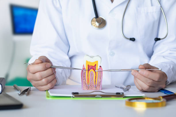 Best Broken Tooth Emergency  in Pine City, MN